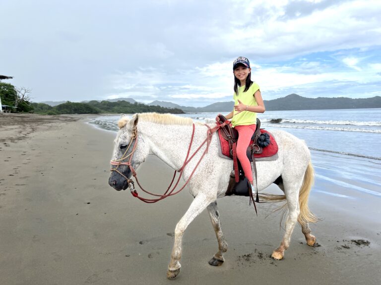 Horseback riding